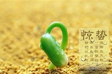 惊蛰出生的人命运