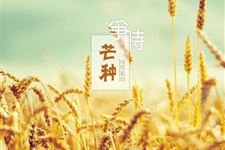 芒种的由来和习俗