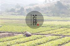 2018年芒种是几月几日:6月6日