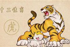 2018年狗年属虎运程详解版(大全)