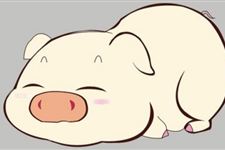 2018年狗年属猪运程详解版(大全)