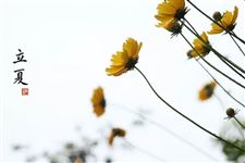 立夏的来历,立夏的由来