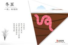冬至三候:蚯蚓结,麋鹿解,水泉动