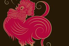 十二生肖鸡图片大全,生肖鸡图片