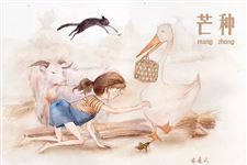 关于芒种的作文,24节气芒种作文