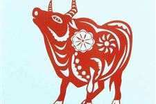 2021年出生的属什么,2021年是什么生肖
