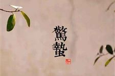 关于惊蛰的谚语有哪些,关于惊蛰的谚语