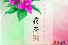 霜降节气的物候特征是什么