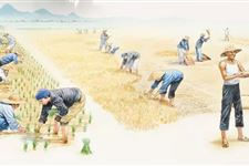 2019年芒种是几月几日:6月6日