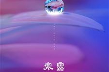 2019Ä꺮¶ÊǼ¸Ô¼¸ÈÕ:10ÔÂ8ÈÕ