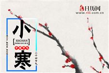 小寒吃哪些食物最养生