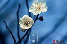 关于小寒节气的谚语