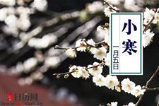 小寒节气吃什么进补