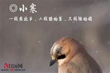 小寒节气还能钓鱼吗