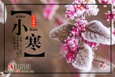 小寒节气吃什么