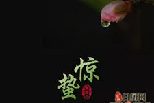 惊蛰时分又龙抬头是什么意思