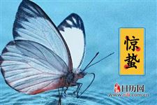 惊蛰三候究竟是哪三候