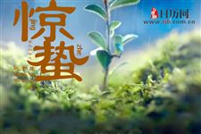 惊蛰是第几个节气
