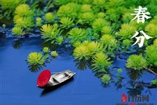 春分是第几个节气