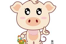 2019年属猪的在各个方面运程如何