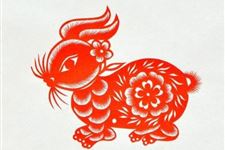 2019年属兔人全年每月运程