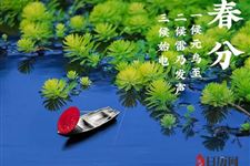 春分节气的物候特征