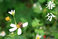 春分在古代有什么说法