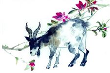 2019年属羊人结婚需要注意什么