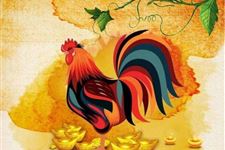 2019年属鸡人结婚需要注意什么