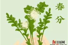 春分的寓意是什么