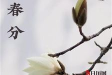 “春分无雨是空年”是什么意思