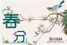 春分茶是什么