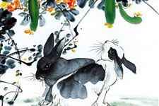 2019年属兔人适合结婚吗