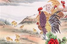 属鸡的最佳配偶是什么属相