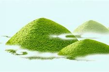 清明过后你会有哪方面的好运