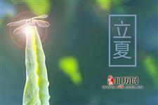 立夏吃什么降火效果好