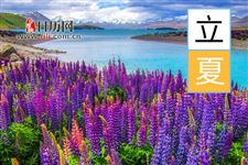 立夏节气湿热交蒸 护好你的小心脏