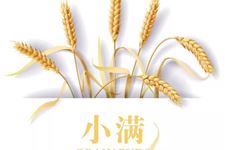 2019ÄêСÂúÊʺÏÁìÖ¤Âð