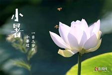 小暑和大暑哪个更热