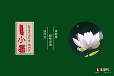 小暑节气的物候与花信