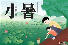 小暑节气种什么花及花事安排