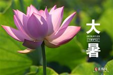 大暑节气饮食4忌2宜