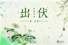 出伏怎么计算
