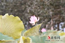 三伏天后会立刻变凉快吗