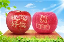 处暑吃什么水果最好