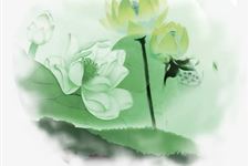 处暑节气钓鱼攻略大全