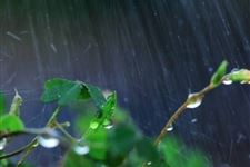 俗语"处暑有雨十八江,处暑无雨干断江"是什么意思