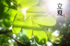 2020年立夏是哪一天