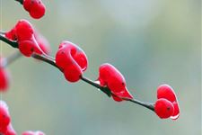 立冬节气由来