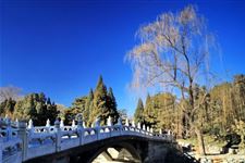 "冬至",我国进入数九寒天隆冬时节